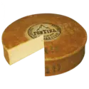 Fontina