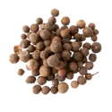 Allspice