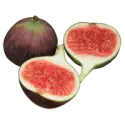 Figs