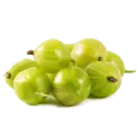 Gooseberry
