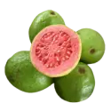 Guava