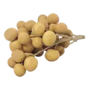 Longan