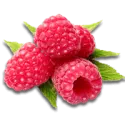 Raspberry