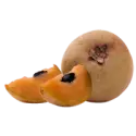 Sapodilla