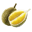 Durian