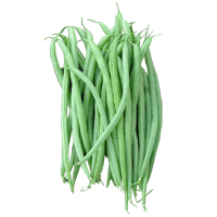 Green bean raw