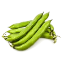 Broad bean raw