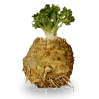 Celeriac