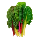 Chard raw