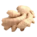 Ginger