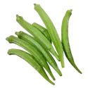 Okra