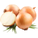 Onion