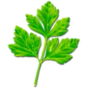 Parsley