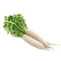 Parsnip