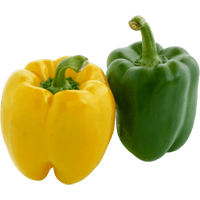 Bell pepper