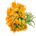 Pumpkin flowers