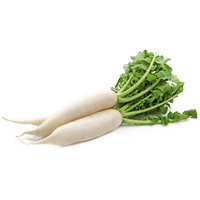 Daikon