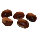 Chestnut