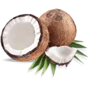 Coconut
