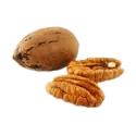 Pecan
