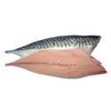 Mackerel