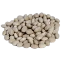 Navy bean raw