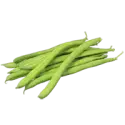Lima beans