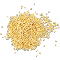 Millet raw