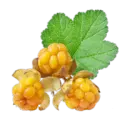 Cloudberry