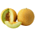 Melon