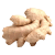 Ginger